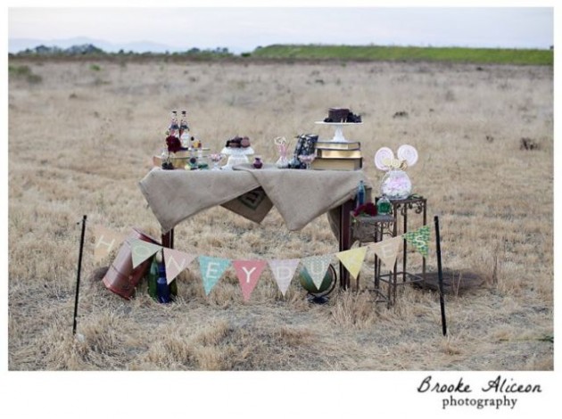 nerdy_wedding_photo_shoots_that_are_actually_kind_of_awesome_640_27