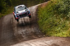 143375_Sordo08FIN15cm379
