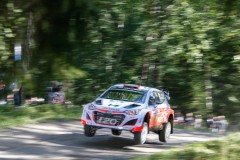 143376_Sordo08FIN15cm388
