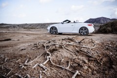 Audi TT TTS-11