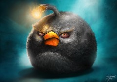 Black+Bird