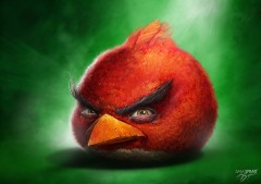 Red+Bird