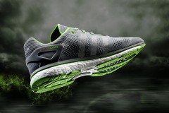 prime-boost