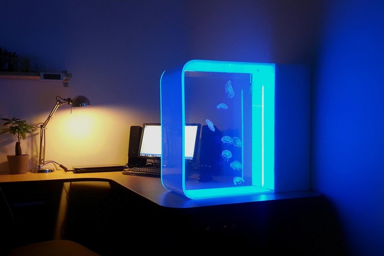 Cubic-Pulse-80-Jellyfish-Aquarium-1