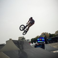 FISE-HONOR-11