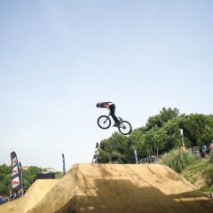 FISE-HONOR-20