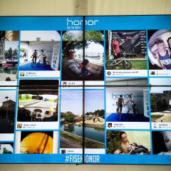 FISE-HONOR-22