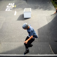 FISE-HONOR-25