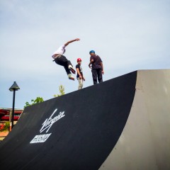 FISE-HONOR-6