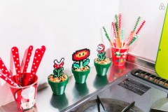 6_1_13_appartement-mario