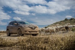 Kadjar-export-55