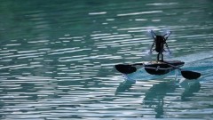 Parrot_Hydrofoil_NewZ_Lifestyle5