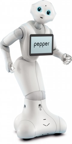 pepper_ld (2)