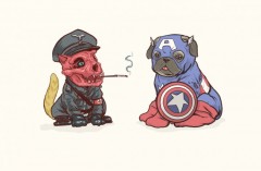 3_1_4_quand-les-chiens-prennent-pour-des-super-heros-captain-america