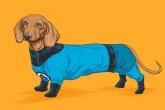 josh-lynch-dog-ff-686x457
