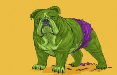 josh-lynch-dog-hulk-686x444