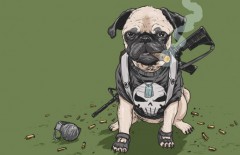 josh-lynch-dog-punisher-686x444