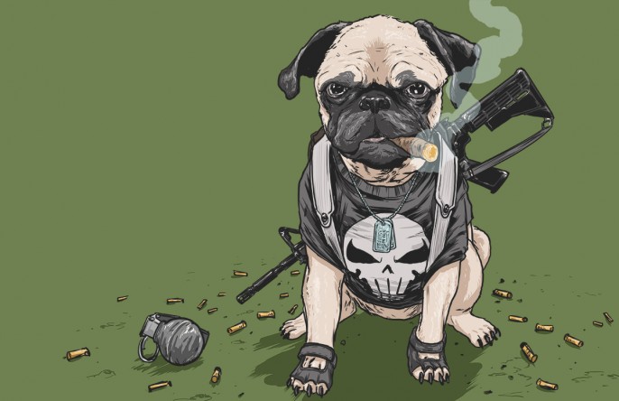 josh-lynch-dog-punisher-686x444