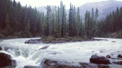 20150829_070735