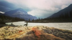 20150829_072827