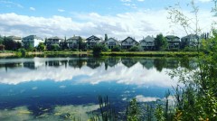 20150831_172944