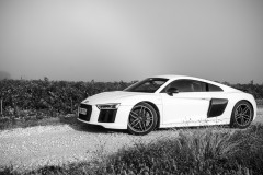 R8-15