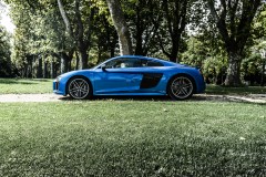 R8-31