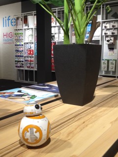 BB8 15