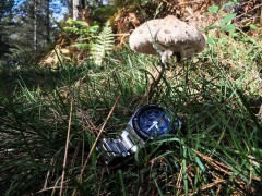 GShock-11