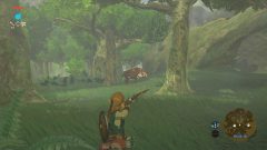 E3-2016_ZeldaBotW_02__SCRN05