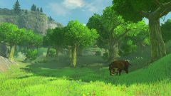 E3-2016_Zelda_bkgdCP12_R_LR