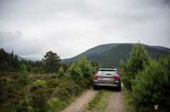 A4Allroad-26