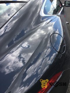 Jaguar_F-TYPE_17