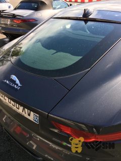 Jaguar_F-TYPE_18