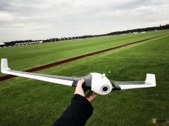 parrot-disco-4