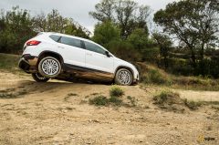 seat-ateca-17