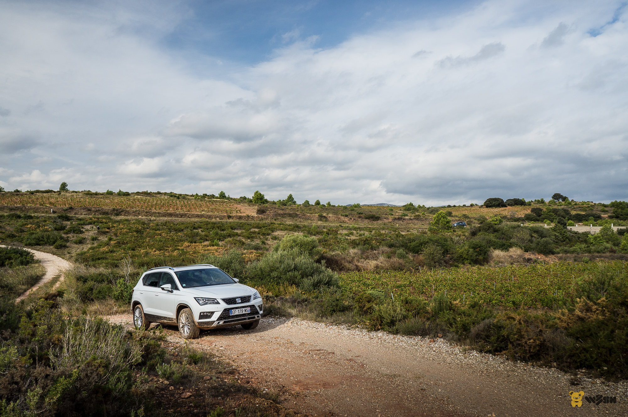 seat-ateca-8