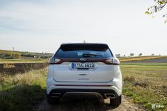 vignale-10