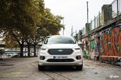 vignale-12