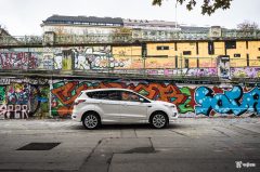vignale-13