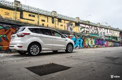 vignale-15