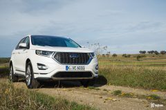 vignale-3