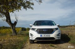 vignale-4