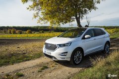 vignale-6