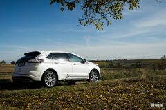 vignale-9
