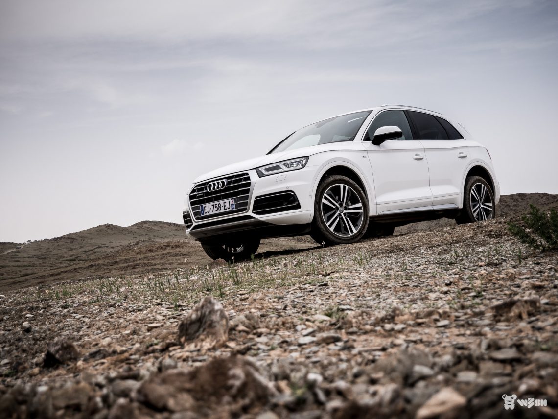 Audi-Q5-13