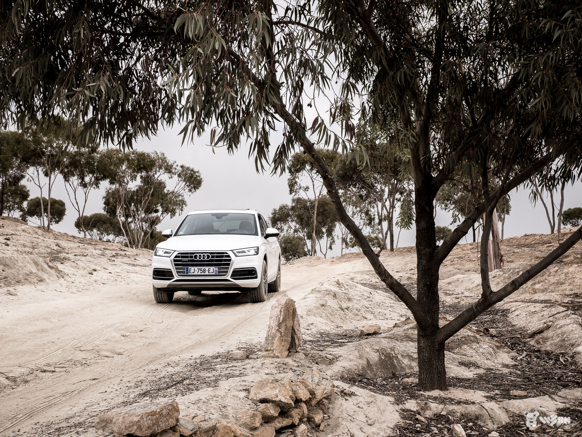 Audi-Q5-24