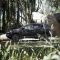 Jeep-Compass-33