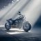 Harley Davidson sort les griffes de ses Softail