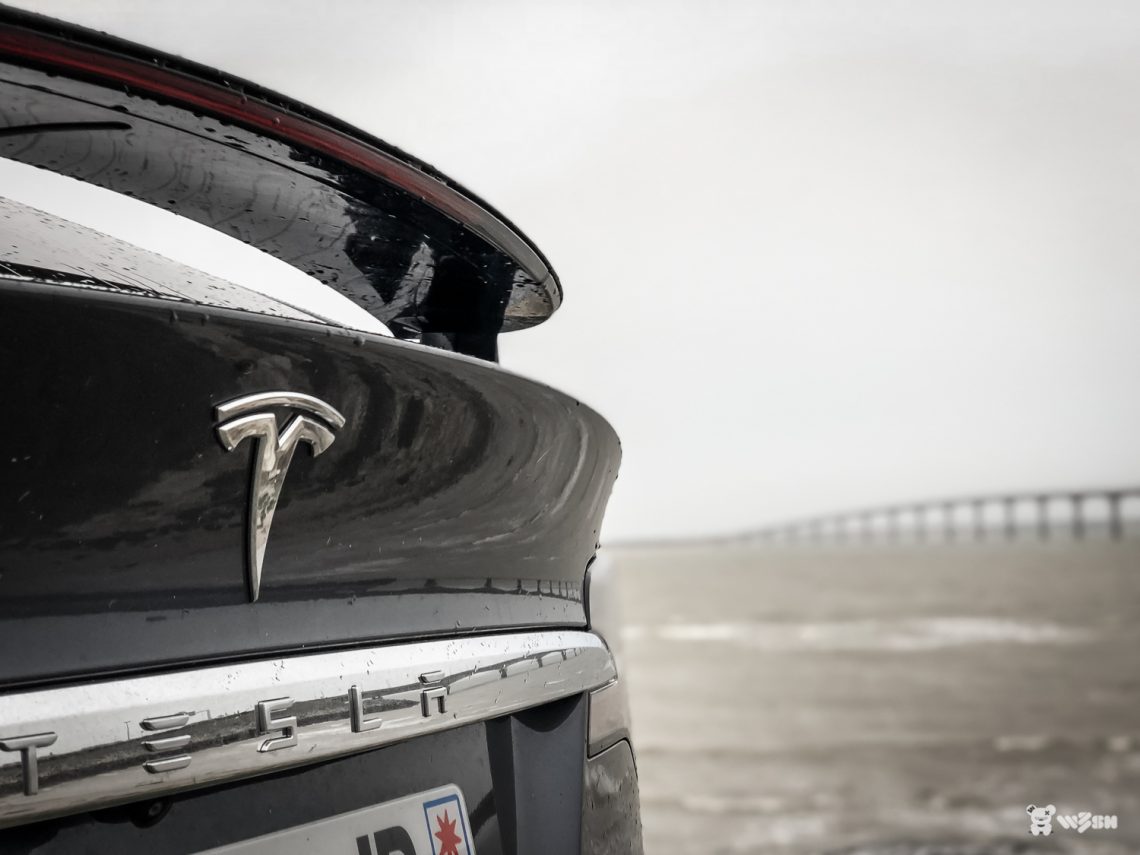 TESLA-Model-X-100D-22
